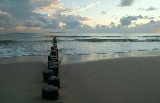 Træpæle i vandet ved stranden – Mønster